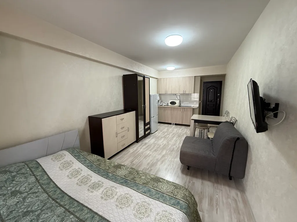 Квартира 1-комнатная Квартира — Сириус