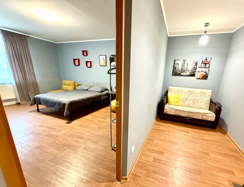 Просторная однокомнатная квартира