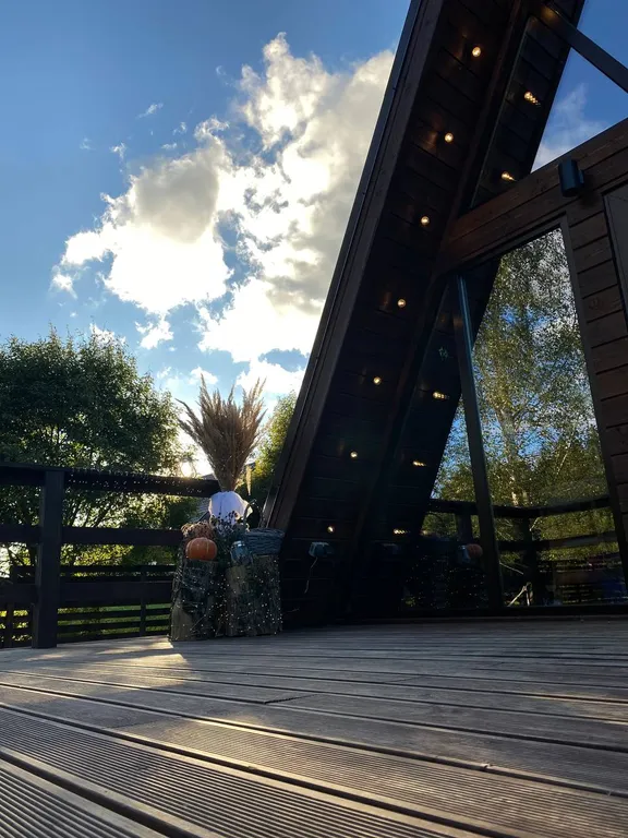 Дом с ковром