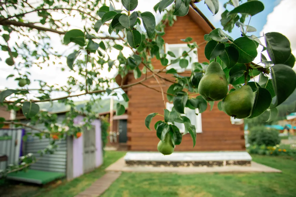 Гостевой дом Алтион