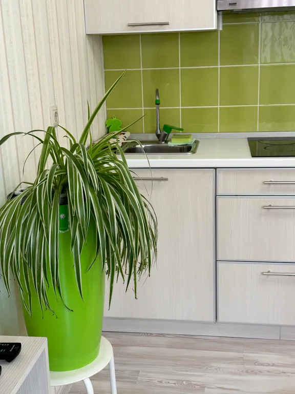 Уютная новая студия повышенной комфортности на въезде в город