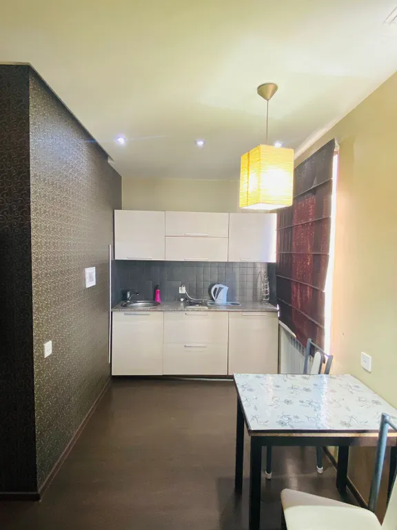 1-комн квартира возле центрального парка