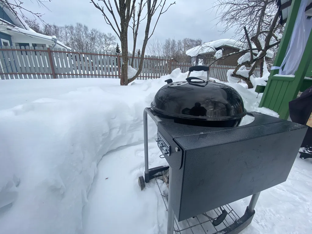 Домик в Плесе