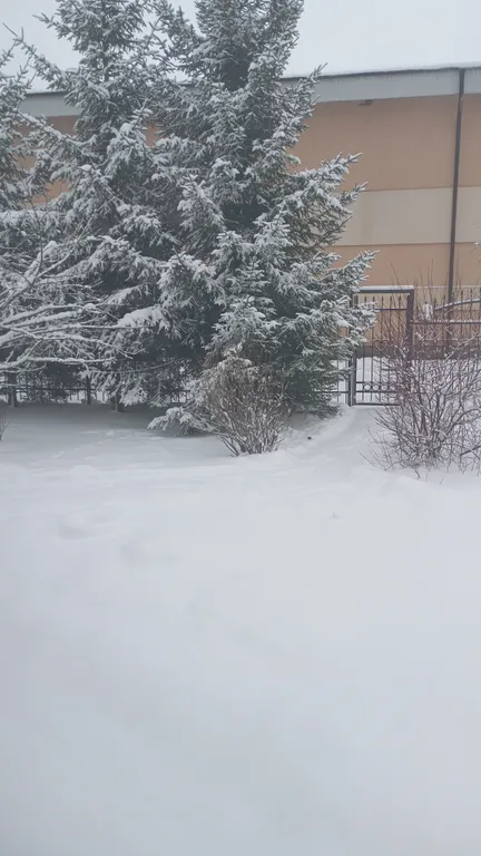 Ласковый май