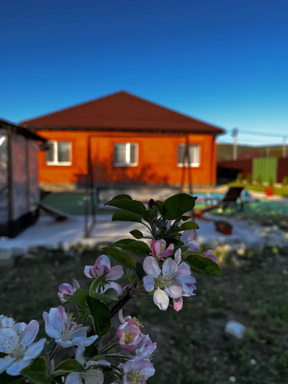 Гостевой дом ‘Маргарита’