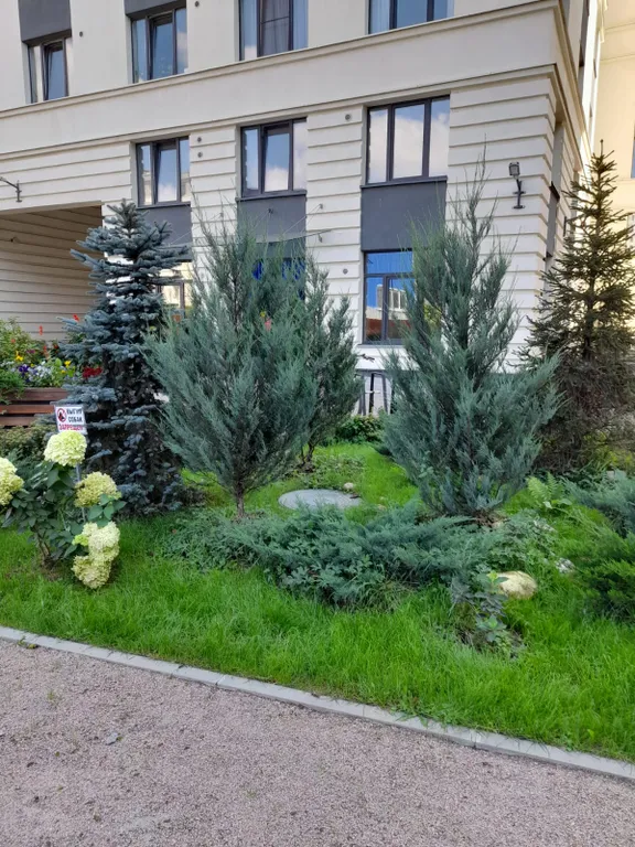 Квартира Квартира Центр Петроградки! Вид на телебашню!!! — Санкт-Петербург