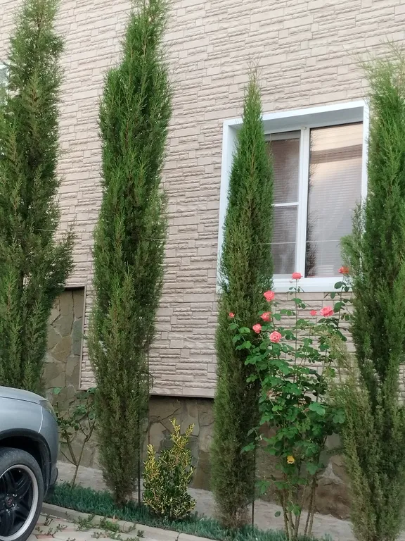 1-местная комната, зона отдыха на воздухе, общий душ и туалет, 7 мин до моря