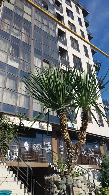 Квартира 1-комнатная Квартира — Адлер