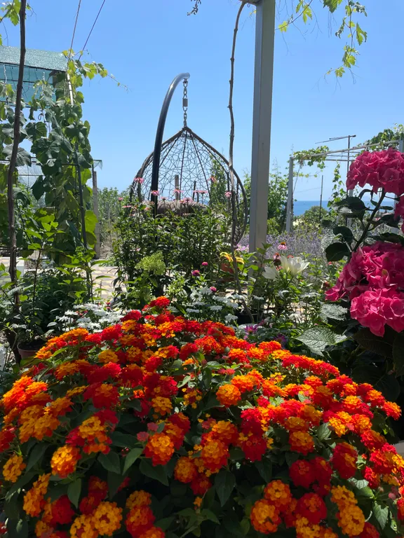 Номер с видом на море