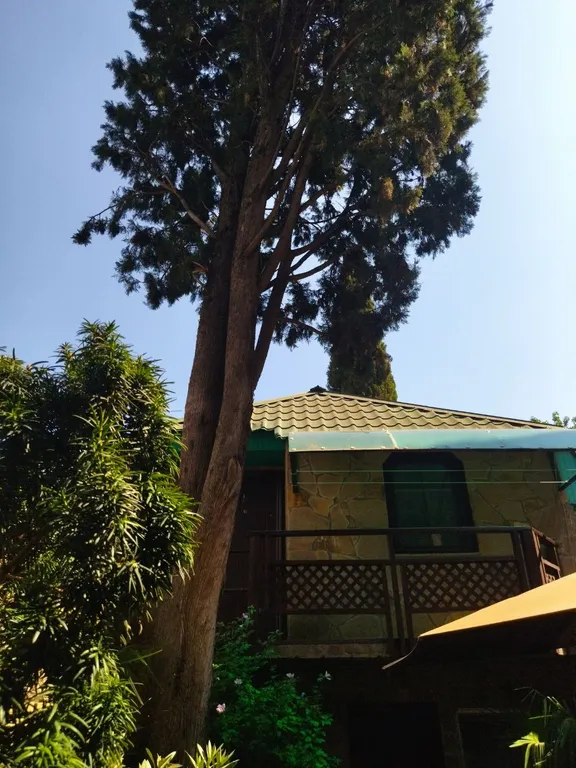 Двухуровневая квартира в центре с красивым внутренним двориком