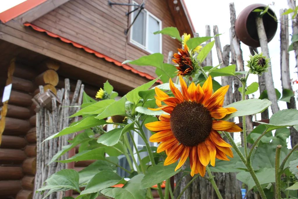 3-комнатный Дом