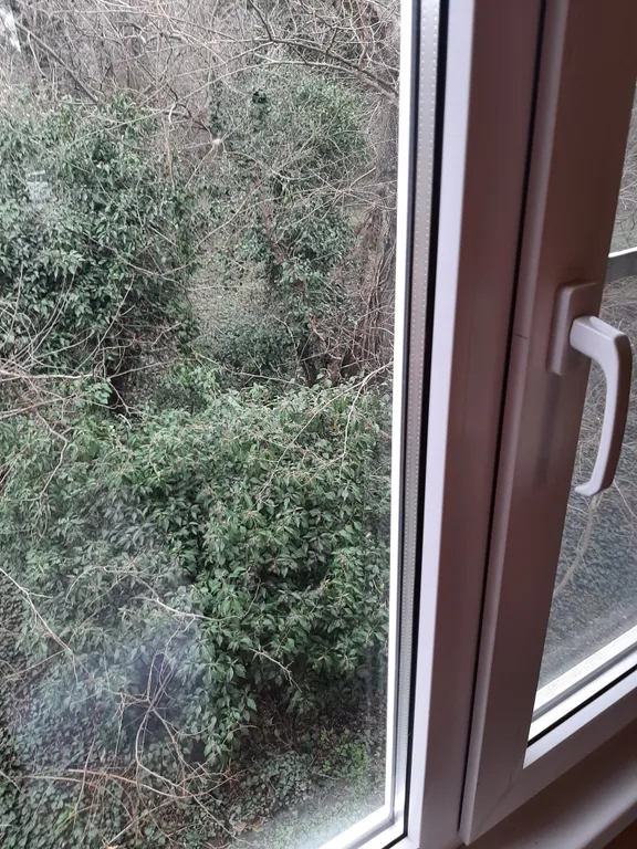 Уютный коттедж в лесу на берегу реки