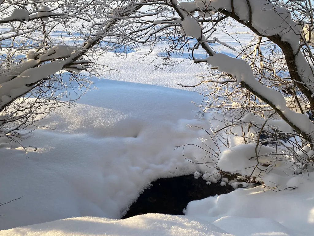 Озерный домик на Онего
