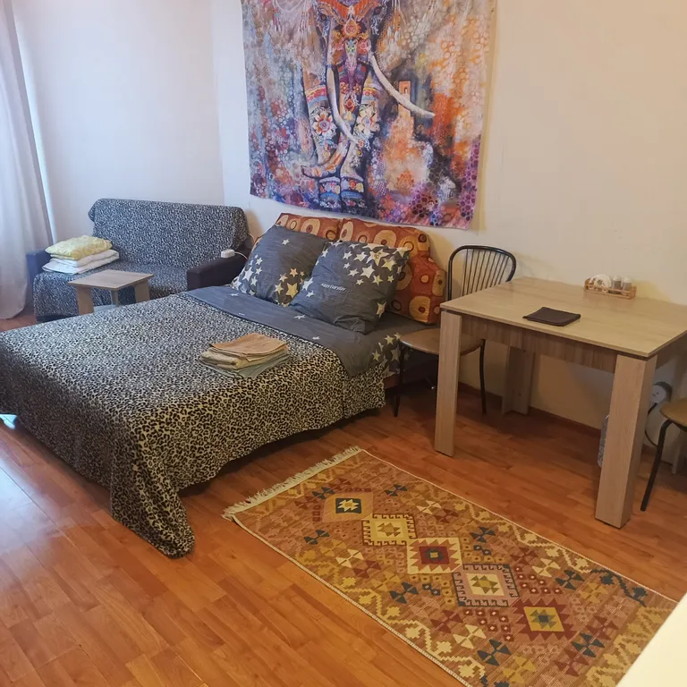 Квартира Уютная студия на Гайве — аренда посуточно в Пермь