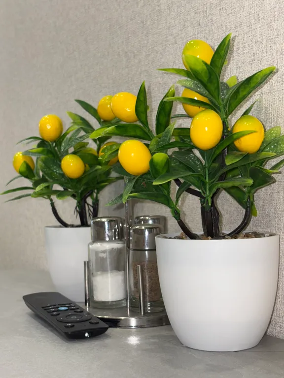 Уютная квартира у моря