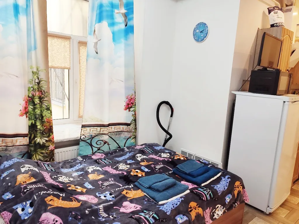 Студия с личной кухней и личным санузлом
