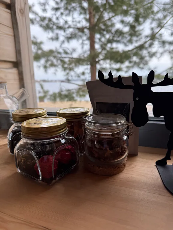 Дом на берегу озера Лососинное