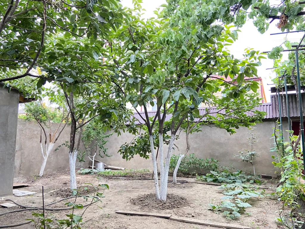 Коттедж Домик на берегу моря — Дербент