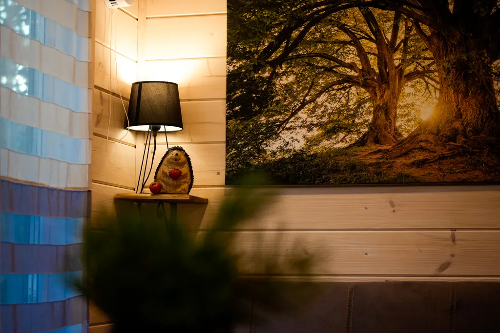 Домик Ёлки Иголки