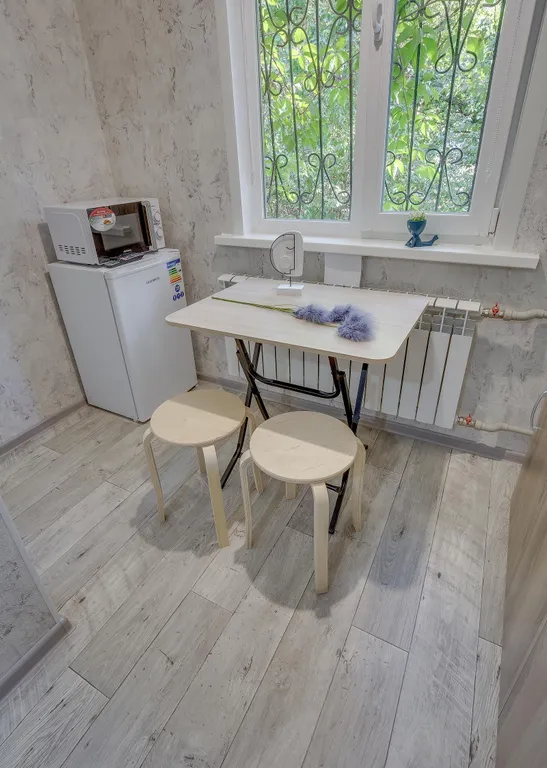 Удачный вариант двухместной студии на Розыбакиева