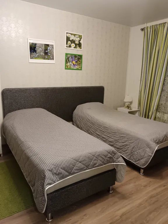 Квартира 1-комнатная Квартира — Луга