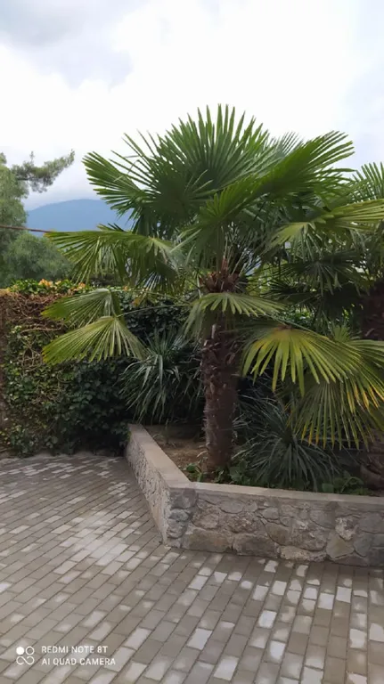 Коттедж Уютный Домик в центре города. — Ялта