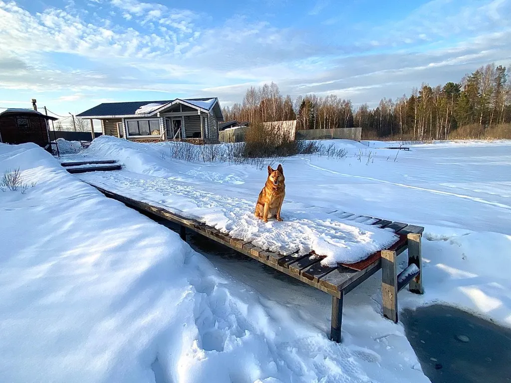 Коттедж Дом на берегу залива с баней — Духанино