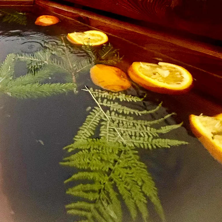 Дом с баней у леса