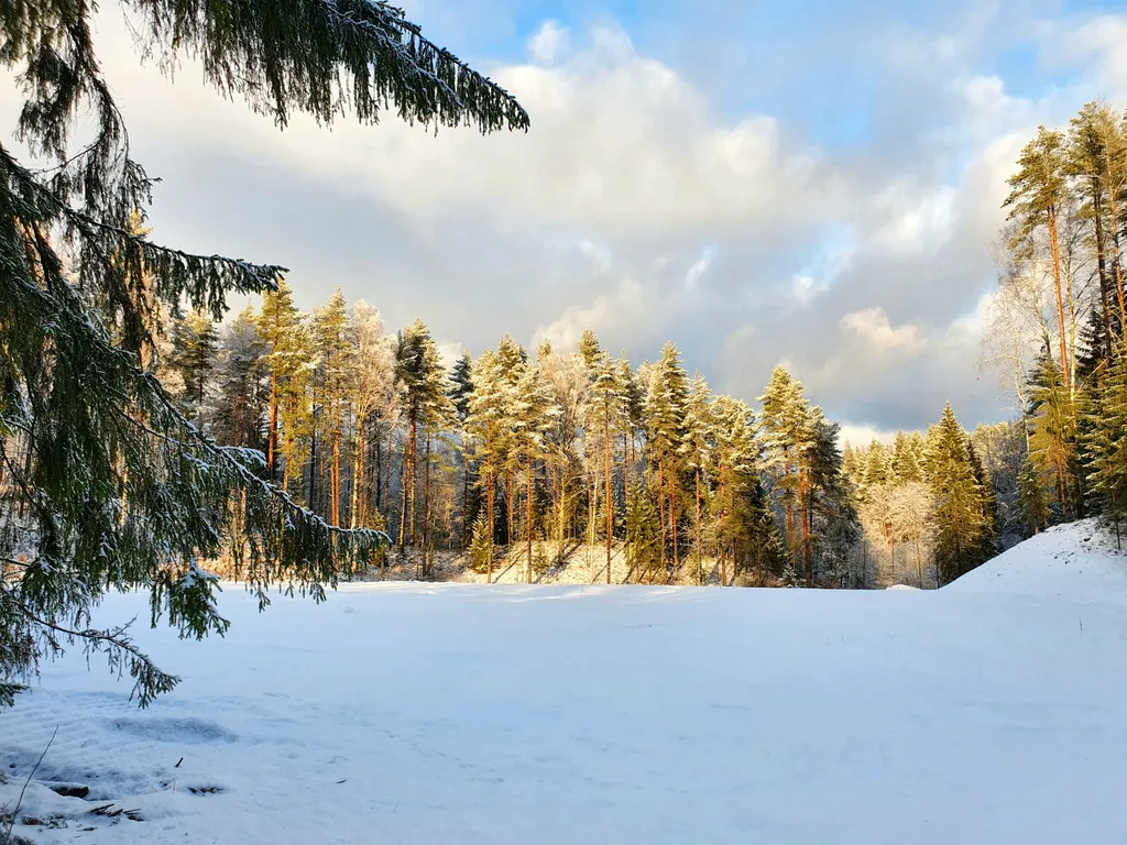 Коттедж Новый коттедж. Сауна и виды на природу-бесплатно — Санкт-Петербург