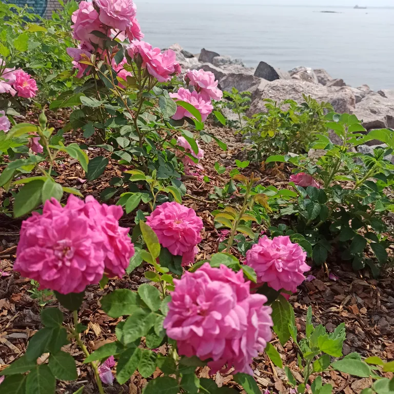 Квартира Квартира Студия у залива — Кронштадт