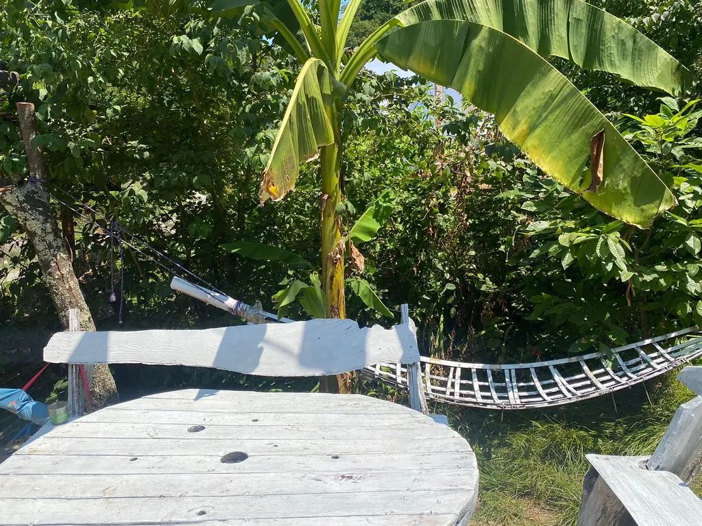 Коттедж Уютный апартамент с видом на лес, рядом с лучшим пляжем — Сухум