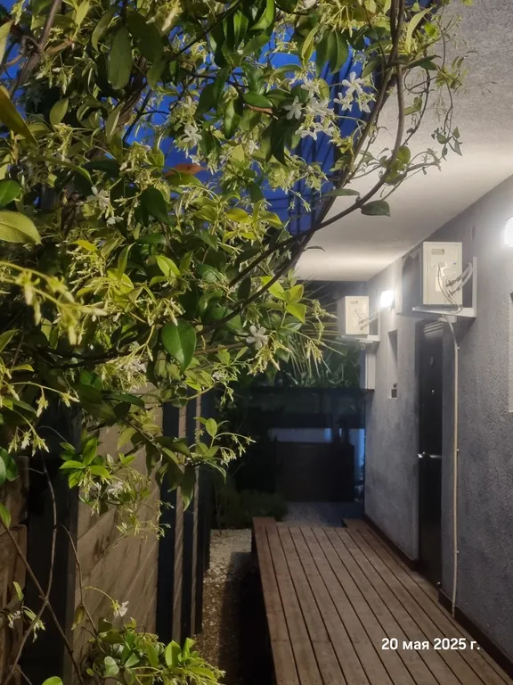 Квартира Комната — Сириус