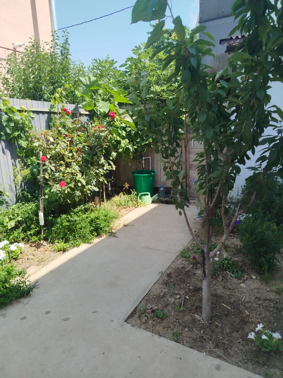 Дом с бассейном