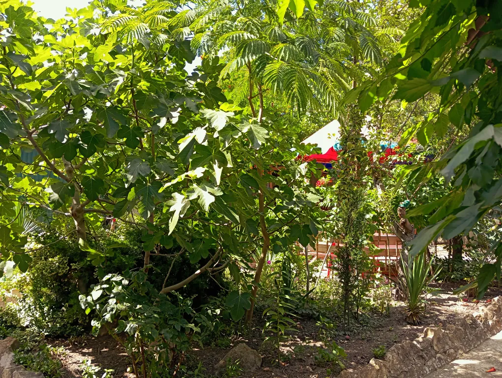 Деревянная мансарда с балконом