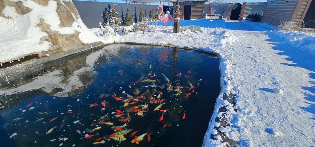 Дом посуточно тзр