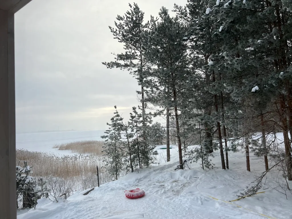 Прянь Селигер