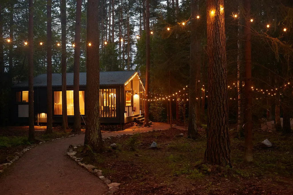 Твой дом в сосновом лесу в самом сердце Репино