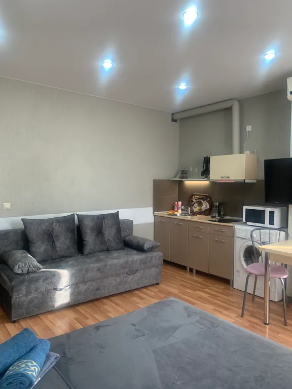 Прекрасная студия в центре , ЖД, Вояж