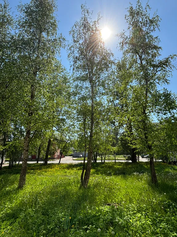 2-комнатная квартира в центре города