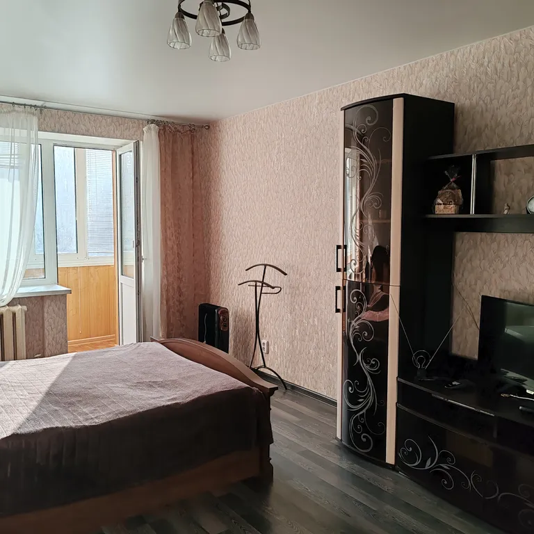 Уютная однокомнатная квартира в центре города