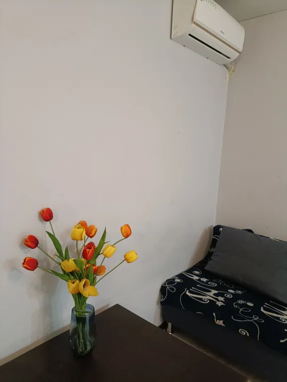 Уютная студия, после ремонта на Вятской/Днепровском