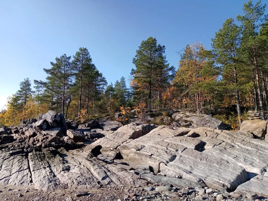 Отдых на Белом море