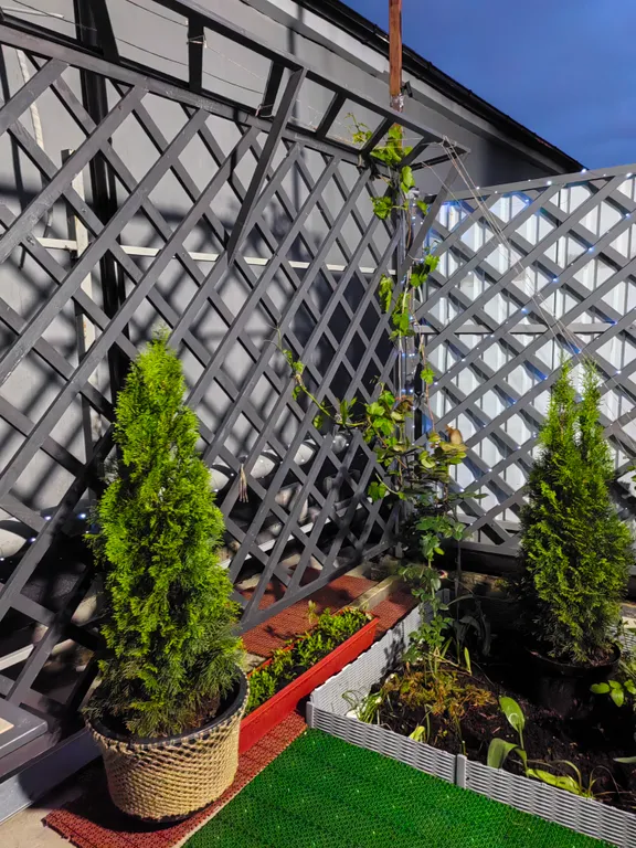 Уютная студия с отдельным входом, террасой