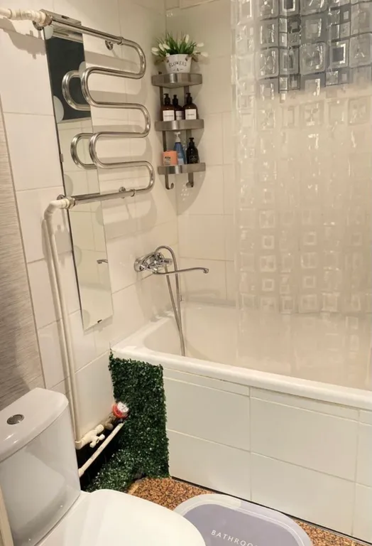 Квартира у реки у леса