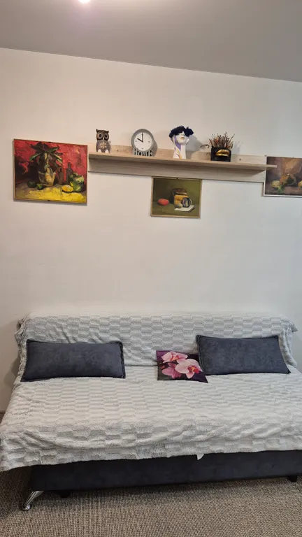 Уютная студия с видом на реку Иртыш