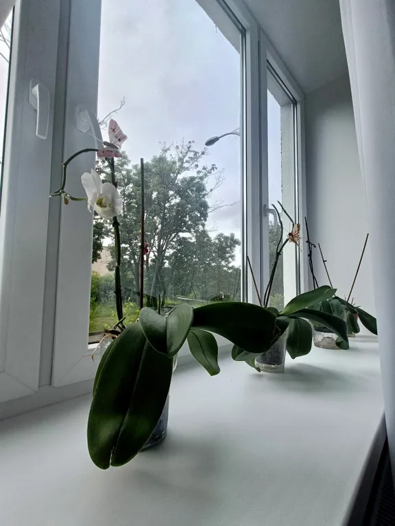 Квартира Апартаменты у озера — Калининград