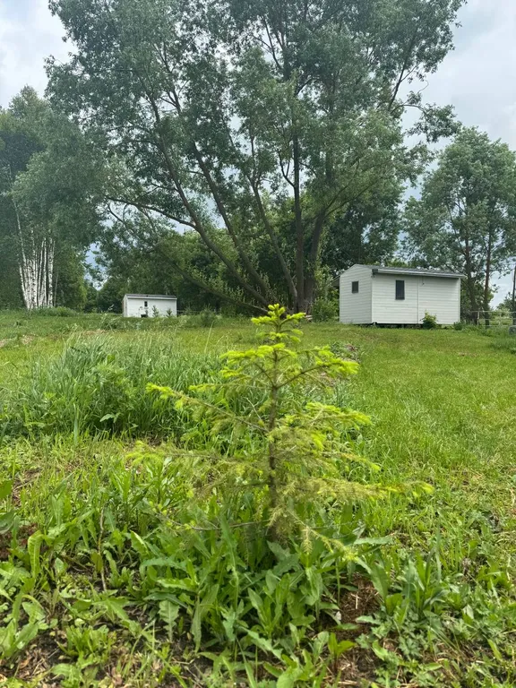 Лисополоса - теплый отдых вдали от цивилизации