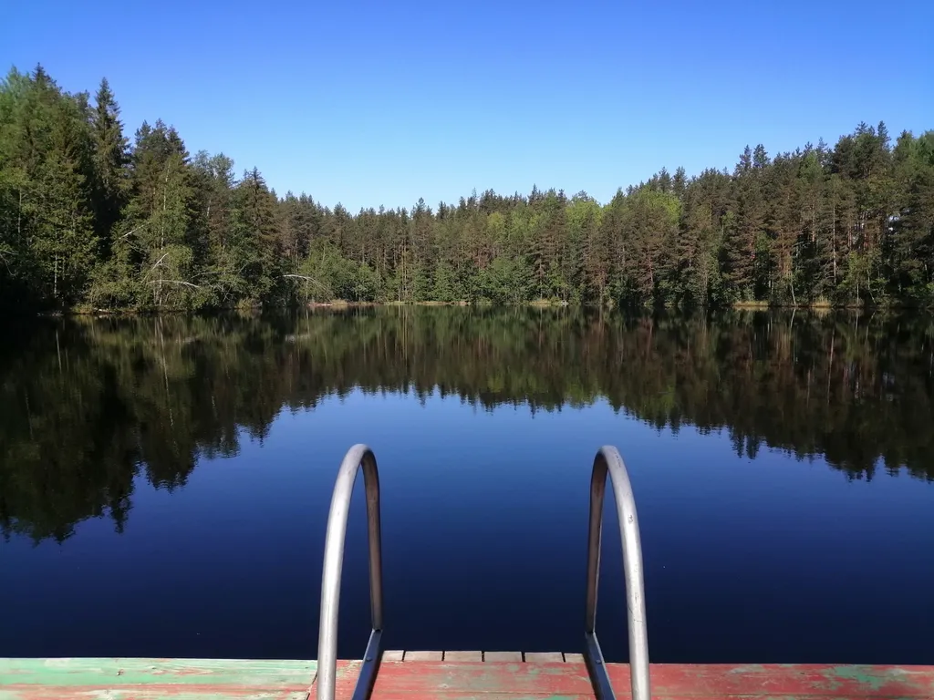 Дом Викинга