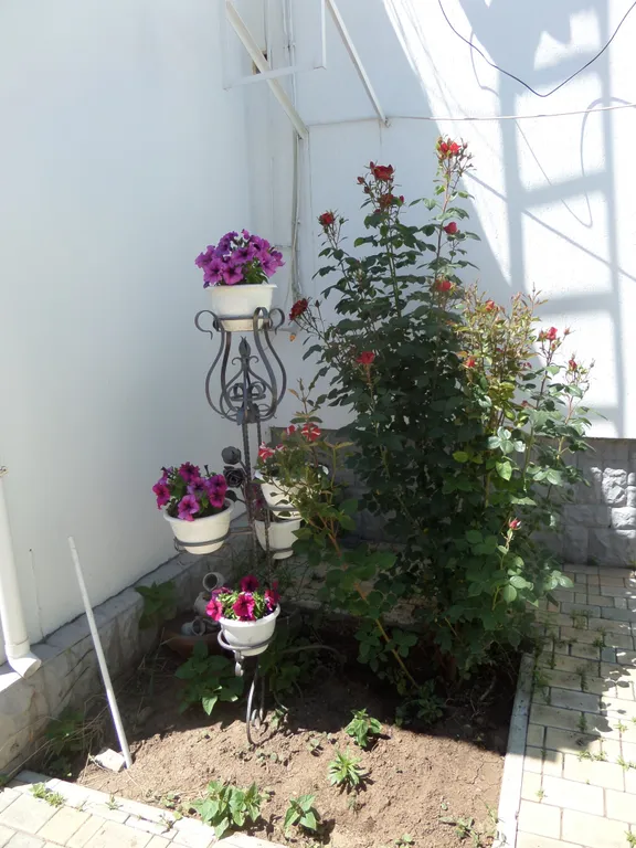 Коттедж 2-комнатный Дом — Евпатория