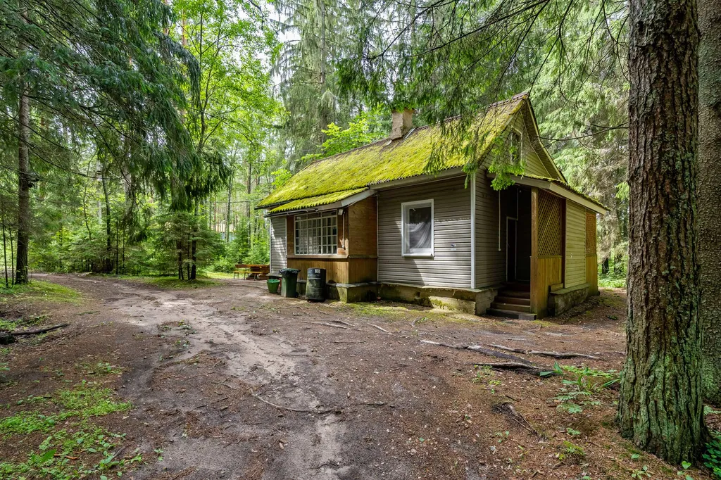 Коттедж 3-комнатный Дом — Луга